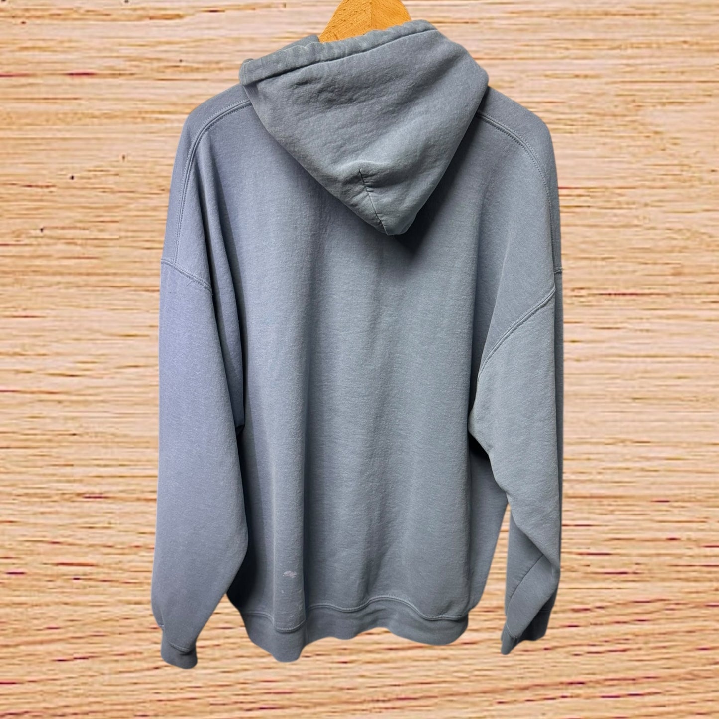 00s Gildan hoodie (2X)
